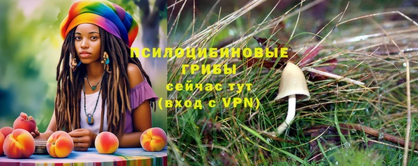 прущая мука Бородино