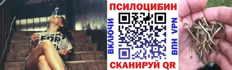 где купить   Грязовец  Галлюциногенные грибы мухоморы 
