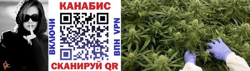 Бошки Шишки VHQ  MEGA ТОР  Грязовец  цены наркотик 